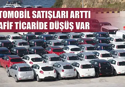 Otomobil satışları arttı, hafif ticaride düşüş var