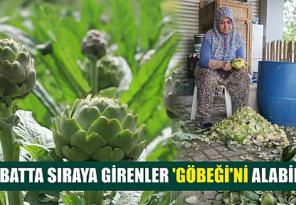 Şubatta sıraya girenler 'göbeği'ni alabildi