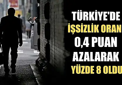 Türkiye'de işsizlik oranı 0,4 puan azalarak yüzde 8 oldu