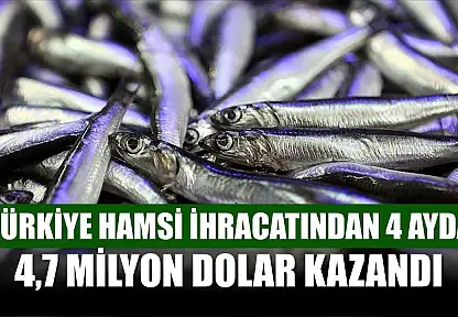 Türkiye hamsi ihracatından 4 ayda 4,7 milyon dolar kazandı