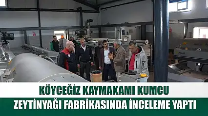 Köyceğiz Kaymakamı Kumcu, zeytinyağı fabrikasında inceleme yaptı