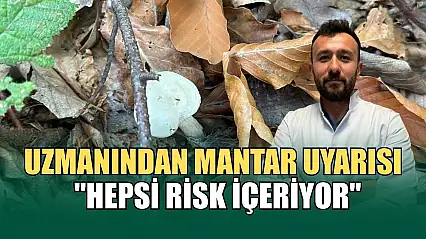 Uzmanından mantar uyarısı: 'Hepsi risk içeriyor'
