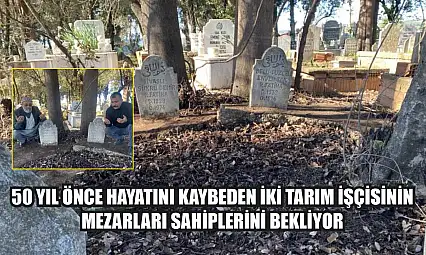 50 yıl önce hayatını kaybeden iki tarım işçisinin mezarları sahiplerini bekliyor