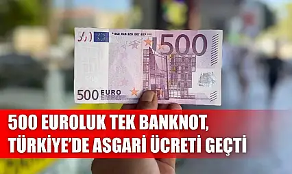 500 Euroluk Tek Banknot, Türkiye'de Asgari Ücreti Geçti