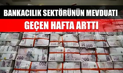 Bankacılık sektörünün mevduatı geçen hafta arttı