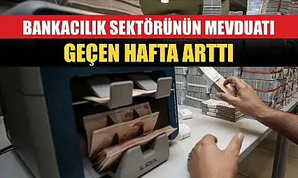 Bankacılık sektörünün mevduatı geçen hafta arttı