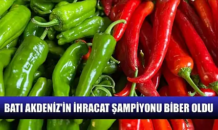 Batı Akdeniz'in ihracat şampiyonu biber oldu