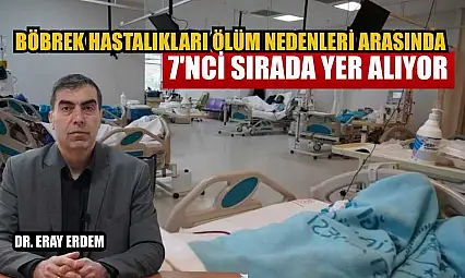 Böbrek hastalıkları ölüm nedenleri arasında 7'nci sırada yer alıyor
