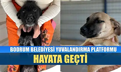 Bodrum Belediyesi Yuvalandırma Platformu hayata geçti