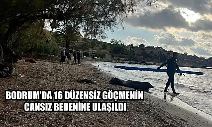 Bodrum'da 16 düzensiz göçmenin cansız bedenine ulaşıldı