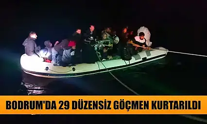 Bodrum'da 29 düzensiz göçmen kurtarıldı