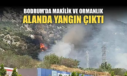 Bodrum'da makilik ve ormanlık alanda yangın çıktı