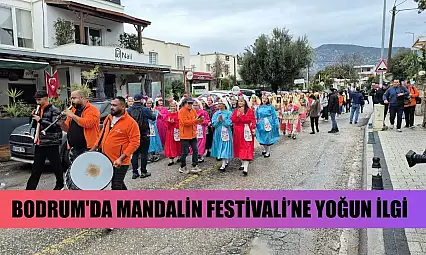 Bodrum'da Mandalin Festivali'ne yoğun ilgi
