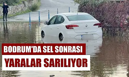 Bodrum'da sel sonrası yaralar sarılıyor