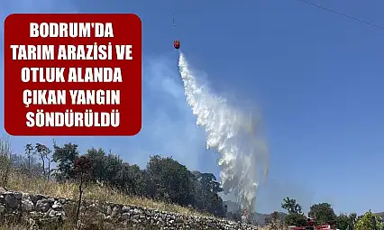 Bodrum'da tarım arazisi ve otluk alanda çıkan yangın söndürüldü