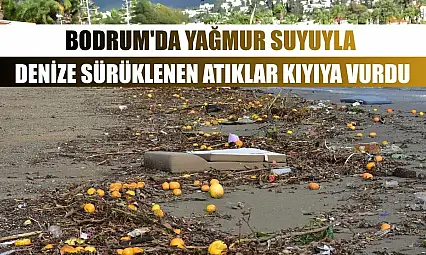 Bodrum'da yağmur suyuyla denize sürüklenen atıklar kıyıya vurdu