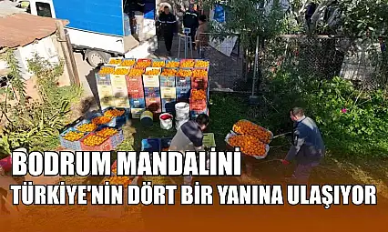 Bodrum Mandalini Türkiye'nin dört bir yanına ulaşıyor