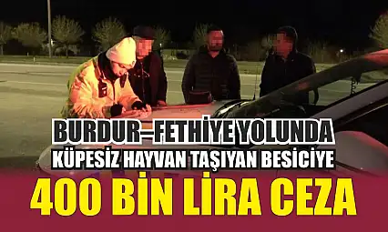 Burdur–Fethiye Yolunda Küpesiz Hayvan Taşıyan Besiciye 400 Bin Lira Ceza