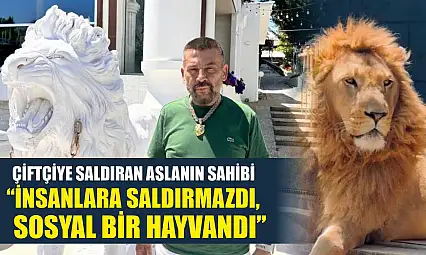 Çiftçiye saldıran aslanın sahibi: 'İnsanlara saldırmazdı, sosyal bir hayvandı'
