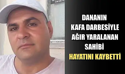 Dananın kafa darbesiyle ağır yaralanan sahibi hayatını kaybetti