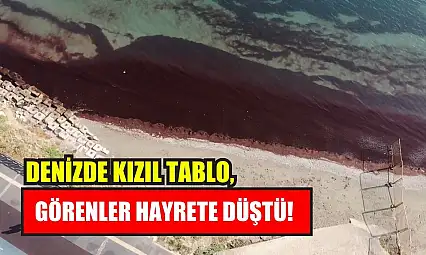 Denizde kızıl tablo, görenler hayrete düştü!