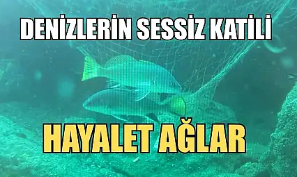 Denizlerin sessiz katili: Hayalet ağlar
