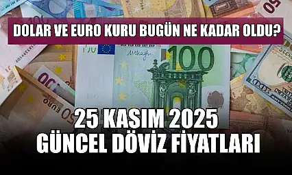 Dolar ve Euro kuru bugün ne kadar oldu?  25 Kasım 2025 güncel döviz fiyatları