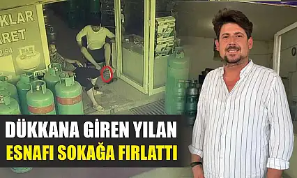 Dükkana giren yılan, esnafı sokağa fırlattı
