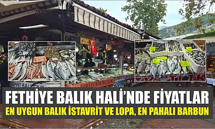 Fethiye Balık Hali'nde fiyatlar: En uygun balık istavrit ve lopa, en pahalı barbun