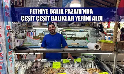 Fethiye Balık Pazarı'nda çeşit çeşit balıklar yerini aldı