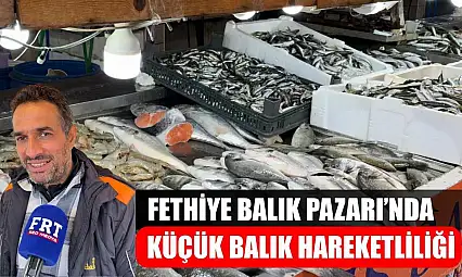 Fethiye Balık Pazarı'nda Küçük Balık Hareketliliği