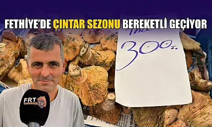 Fethiye'de çıntar sezonu bereketli geçiyor