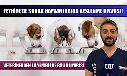 Fethiye'de sokak hayvanlarına beslenme uyarısı! Veterinerden ev yemeği ve balık uyarısı