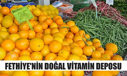 Fethiye'nin doğal vitamin deposu