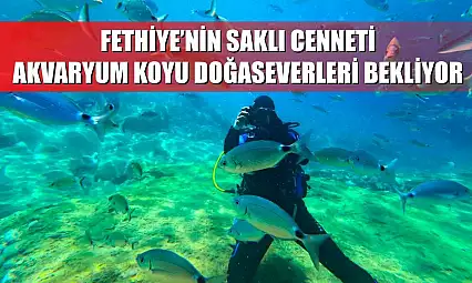 Fethiye'nin Saklı Cenneti: Akvaryum Koyu Doğaseverleri Bekliyor