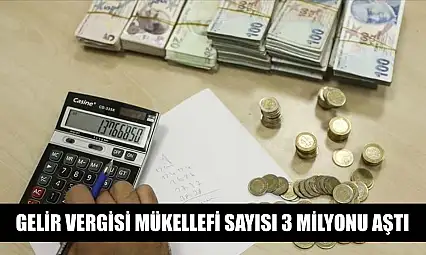 Gelir vergisi mükellefi sayısı 3 milyonu aştı
