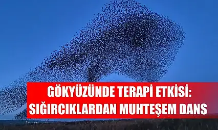 Gökyüzünde terapi etkisi: Sığırcıklardan muhteşem dans
