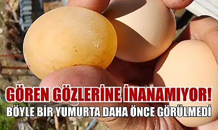 Gören gözlerine inanamıyor! Böyle bir yumurta daha önce görülmedi