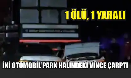 İki otomobil park halindeki vince çarptı: 1 ölü, 1 yaralı