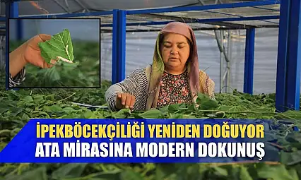 İpekböcekçiliği Yeniden Doğuyor: Ata Mirasına Modern Dokunuş