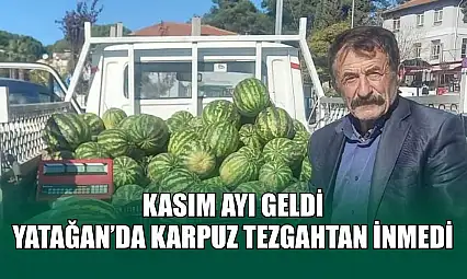 Kasım ayı geldi, Yatağan'da karpuz tezgahtan inmedi