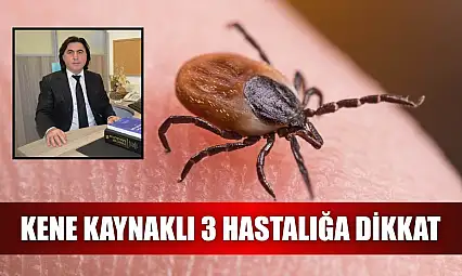 Kene kaynaklı 3 hastalığa dikkat