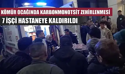 Kömür ocağında karbonmonotsit zehirlenmesi: 7 işçi hastaneye kaldırıldı