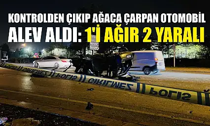 Kontrolden çıkıp ağaca çarpan otomobil alev aldı: 1'i ağır 2 yaralı