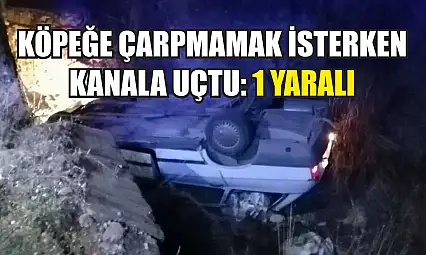 Köpeğe Çarpmamak İsterken Kanala Uçtu: 1 Yaralı