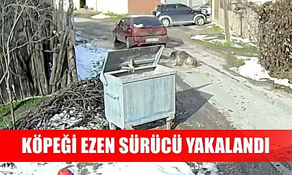 Köpeği ezen sürücü yakalandı