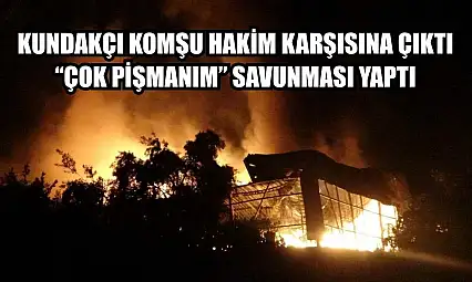 Kundakçı komşu hakim karşısına çıktı: 'Çok pişmanım' savunması yaptı