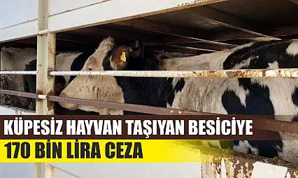 Küpesiz Hayvan Taşıyan Besiciye 170 Bin Lira Ceza