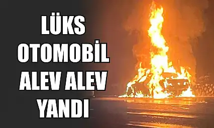 Lüks otomobil alev alev yandı