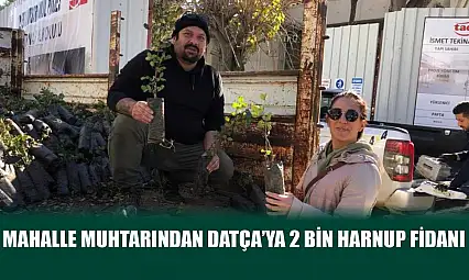 Mahalle muhtarından Datça'ya 2 bin harnup fidanı